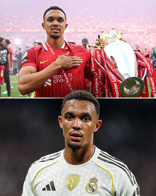 img, 对旧主 img, 对旧主