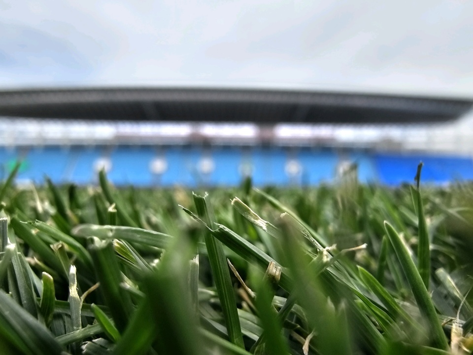 对于明天的, news 对于明天的, news