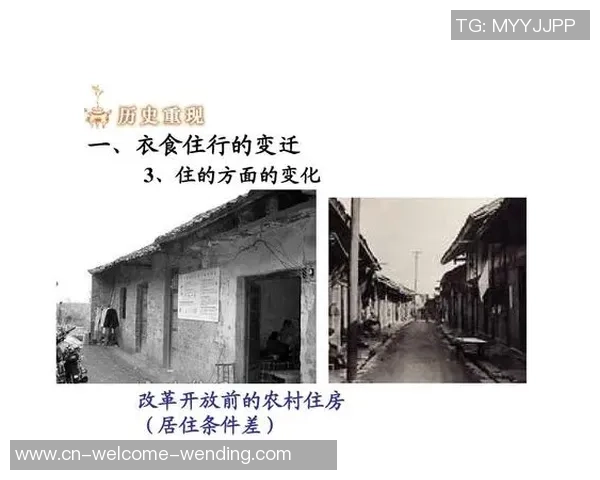 两年前的回忆与两年后的展望交织成的生活变迁与成长故事